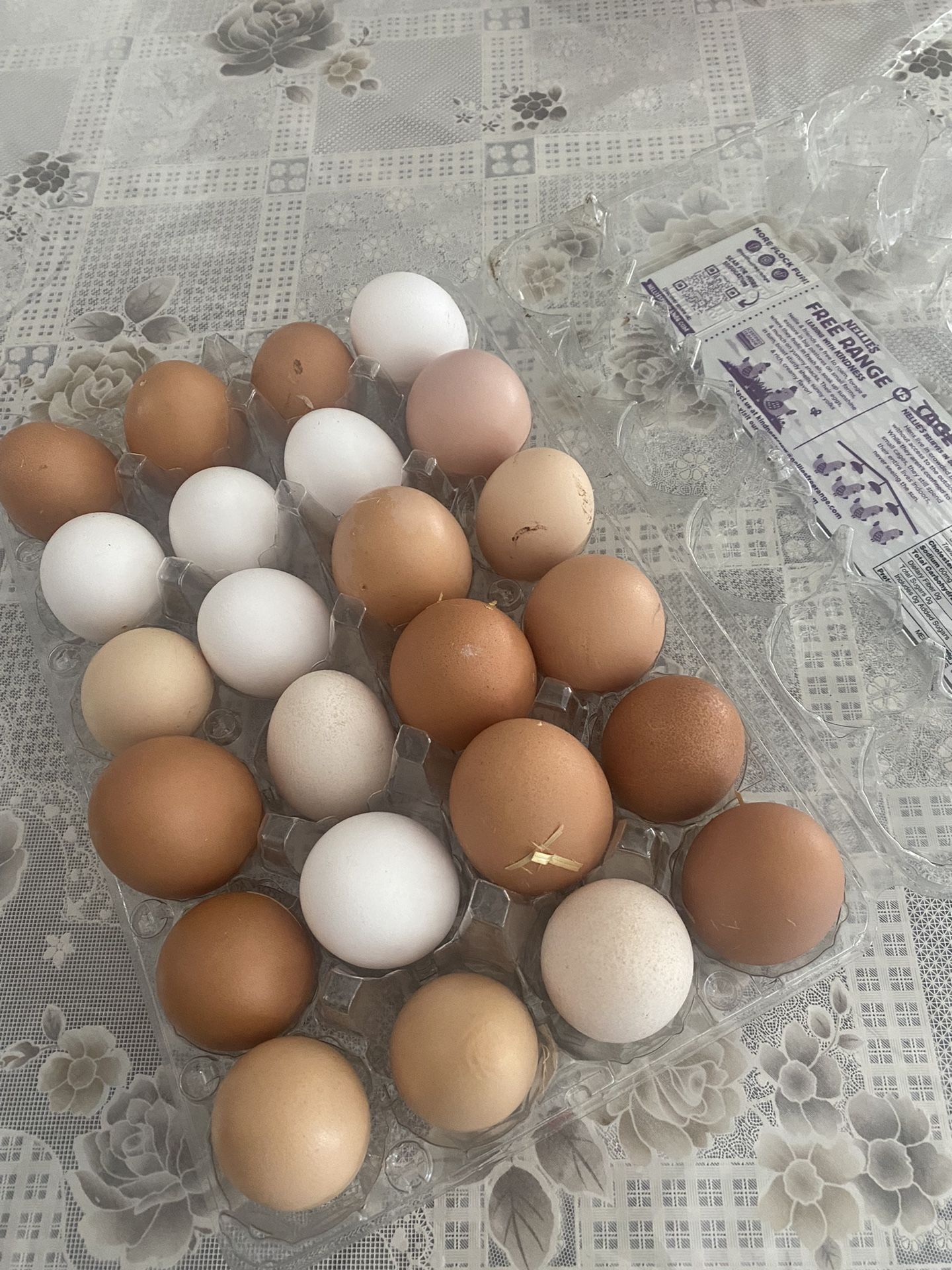 Fresh organic eggs