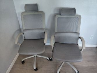 Office Chairs