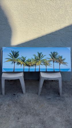 Palm Tree Frame