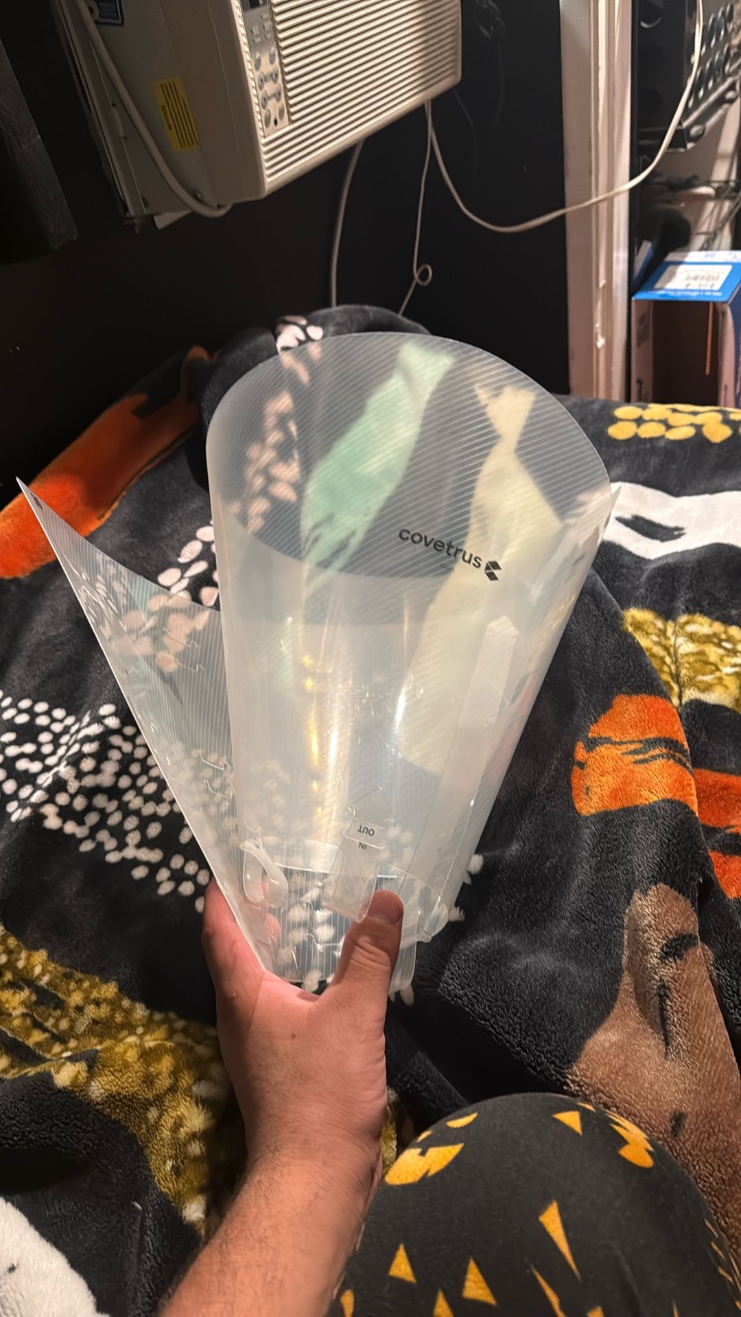 Dog Cone