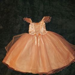Pink Dress  Size 5-6.