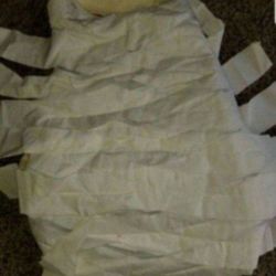 Mummy Pet Costume 