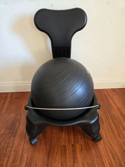 Gaiam Balance Ball Chair