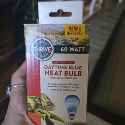 Daytime Blue Heat Lamp