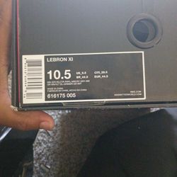 LeBron XI