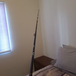 Fishing Rod 