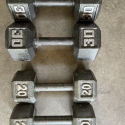 30 lb & 20 lb Weights 