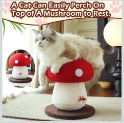 🍄Mushroom Cat Scratcher, Cute Cat Scratching Post
