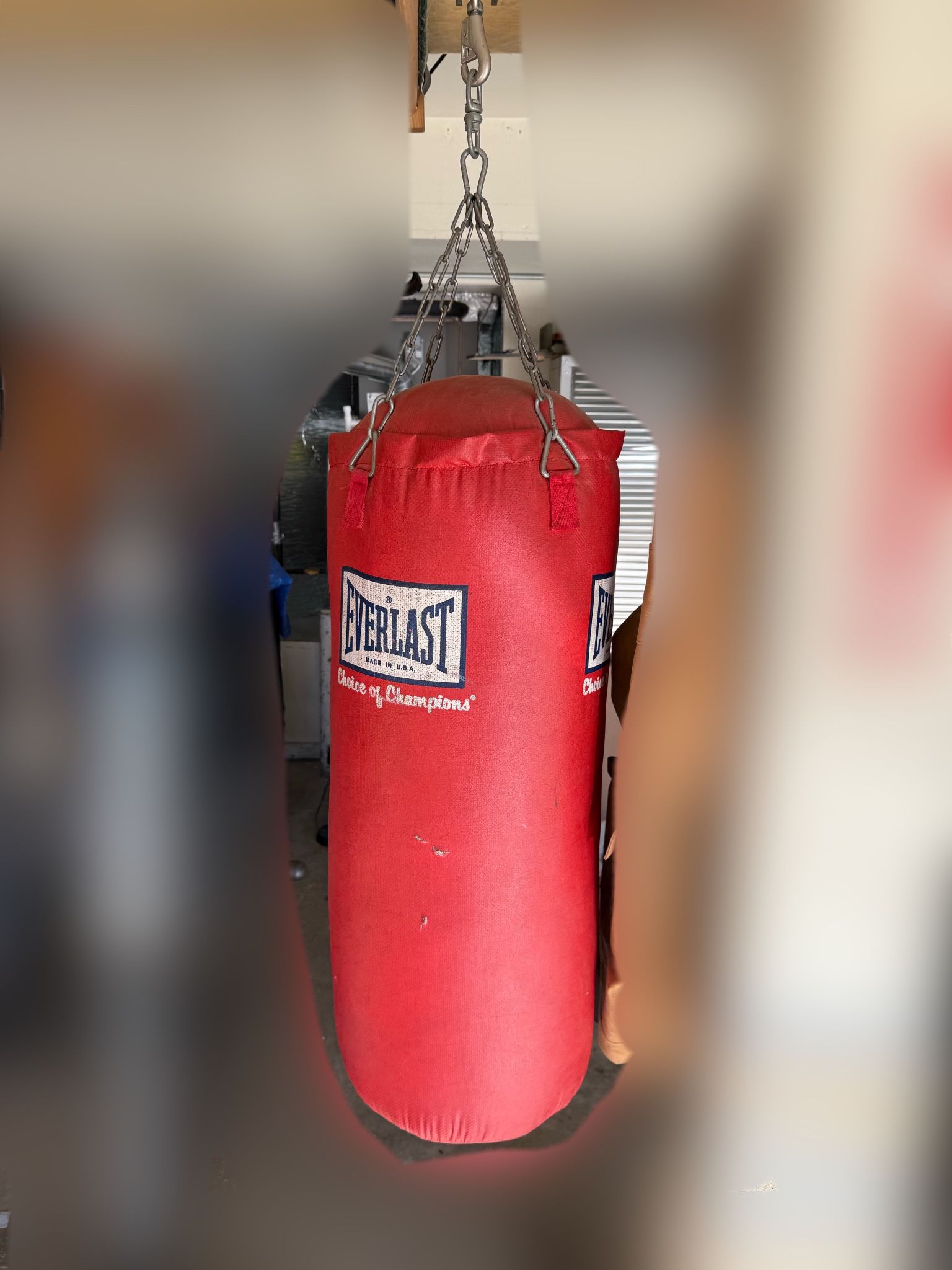 Everlast Punching Bag