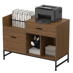 File Cabinet, 100 x 40 cm Lateral Filing Cabinet with 2 Drawers, Printer Stand, Open Storage Shelves for Home, Office