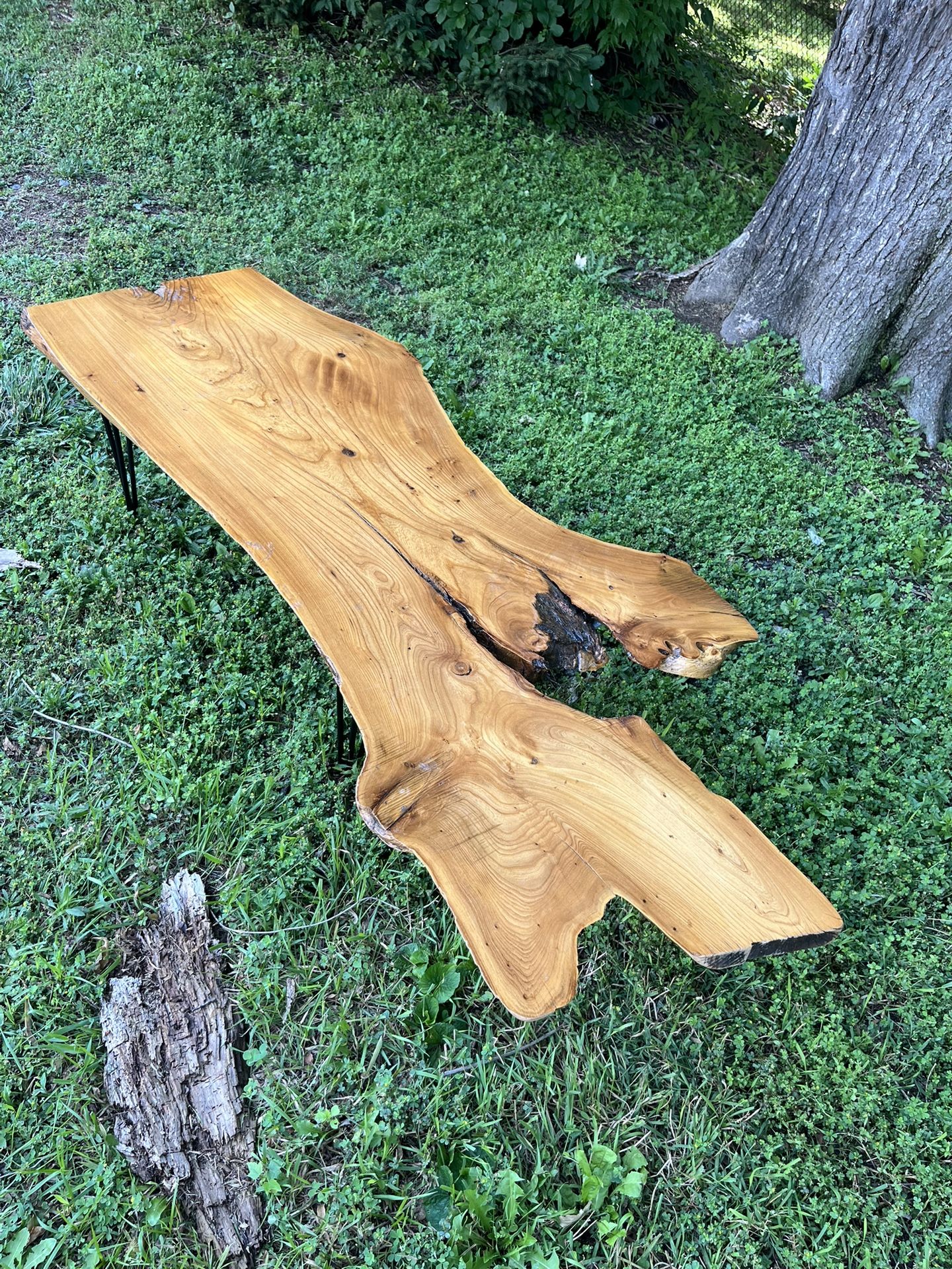 Coffee Table Live Edge Elm Wood