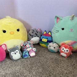 Squishmallows 