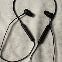 Earbuds/Headphones 