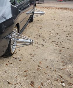 Swangas