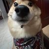 marco