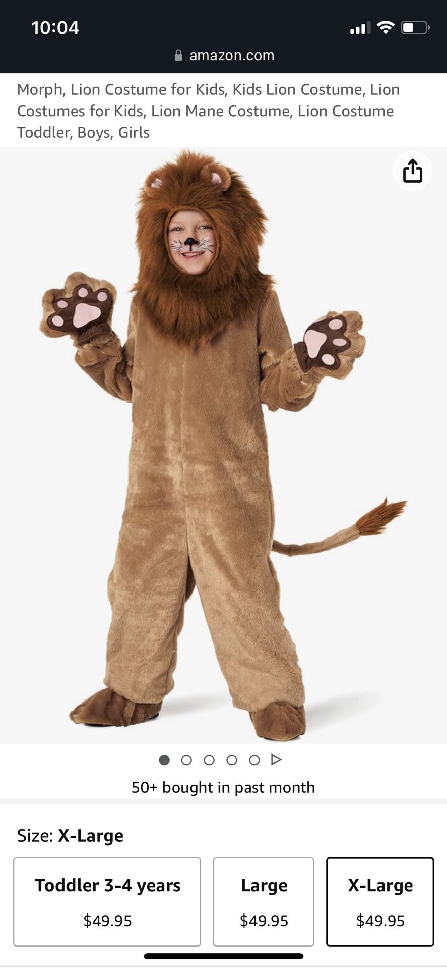 Lion Costume