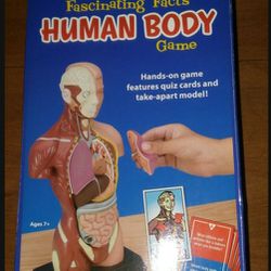Homeschool Health Fascinating Facts human body learning  game hands on anatomical torso body