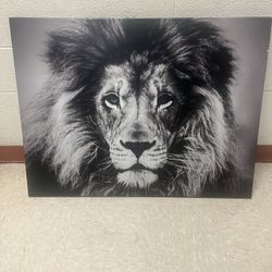 Lion Canvas Poster