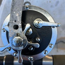 Rock, Cod, Rod, And Reel