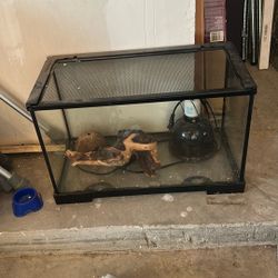 Starter Gecko Habitat