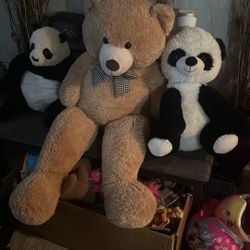 Big Bears For Sale