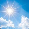 Sunny