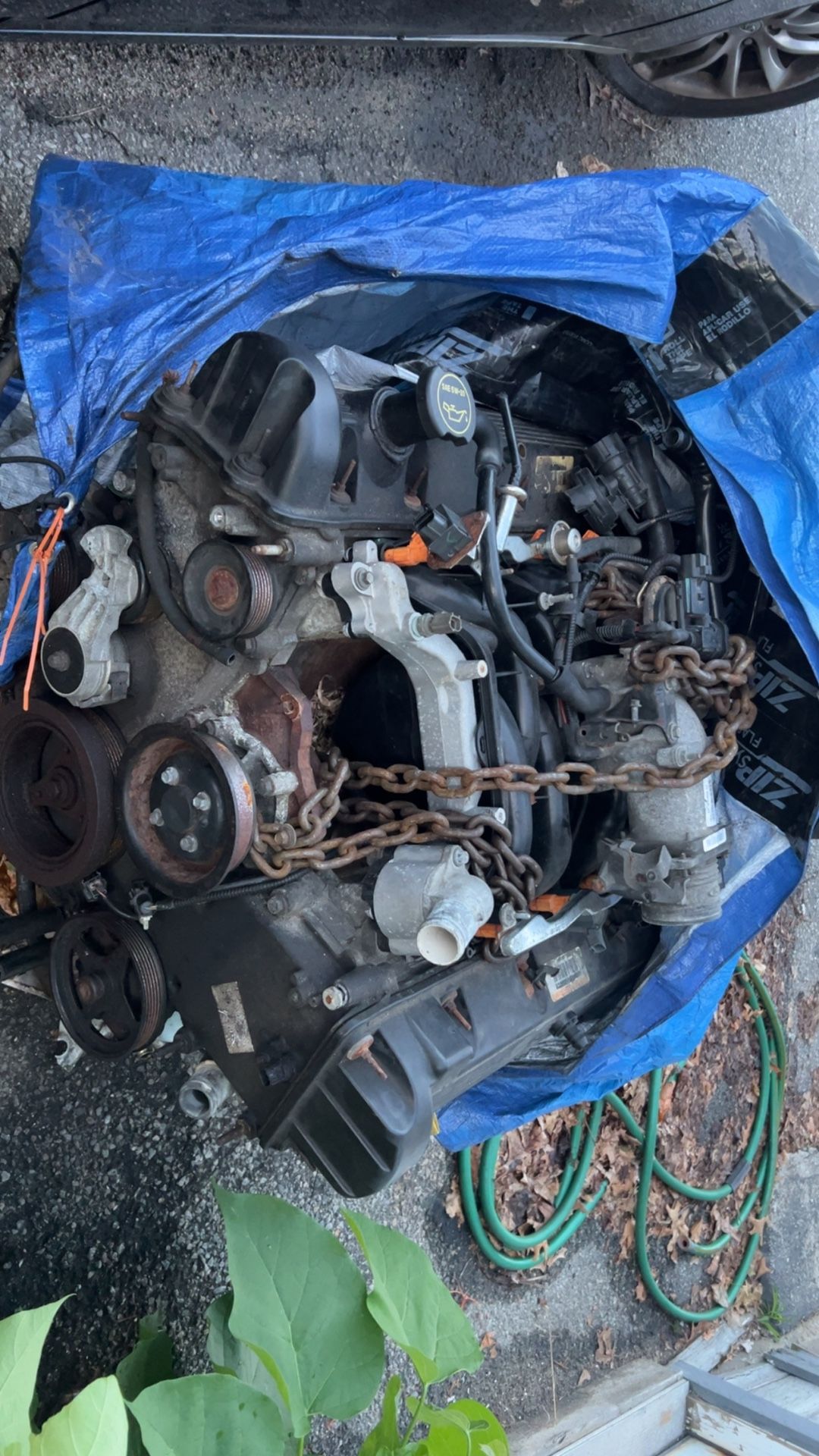 Crown Vic Motor