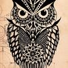 Navin