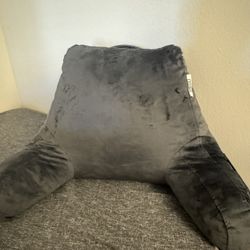 Nestl Back Support Pillow – Soft Velour – Like New (Freshly Washed)