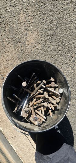 Wire nails 6"