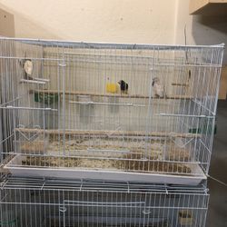 A beautiful cage for breeding