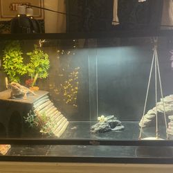 Lizard Cage+ THROW OFFER