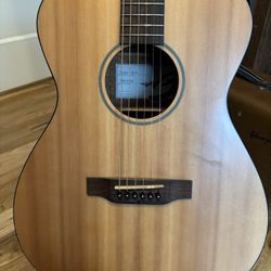 Breedlove OM,FS -Atlas Series 