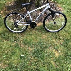24” Mountain Bike 