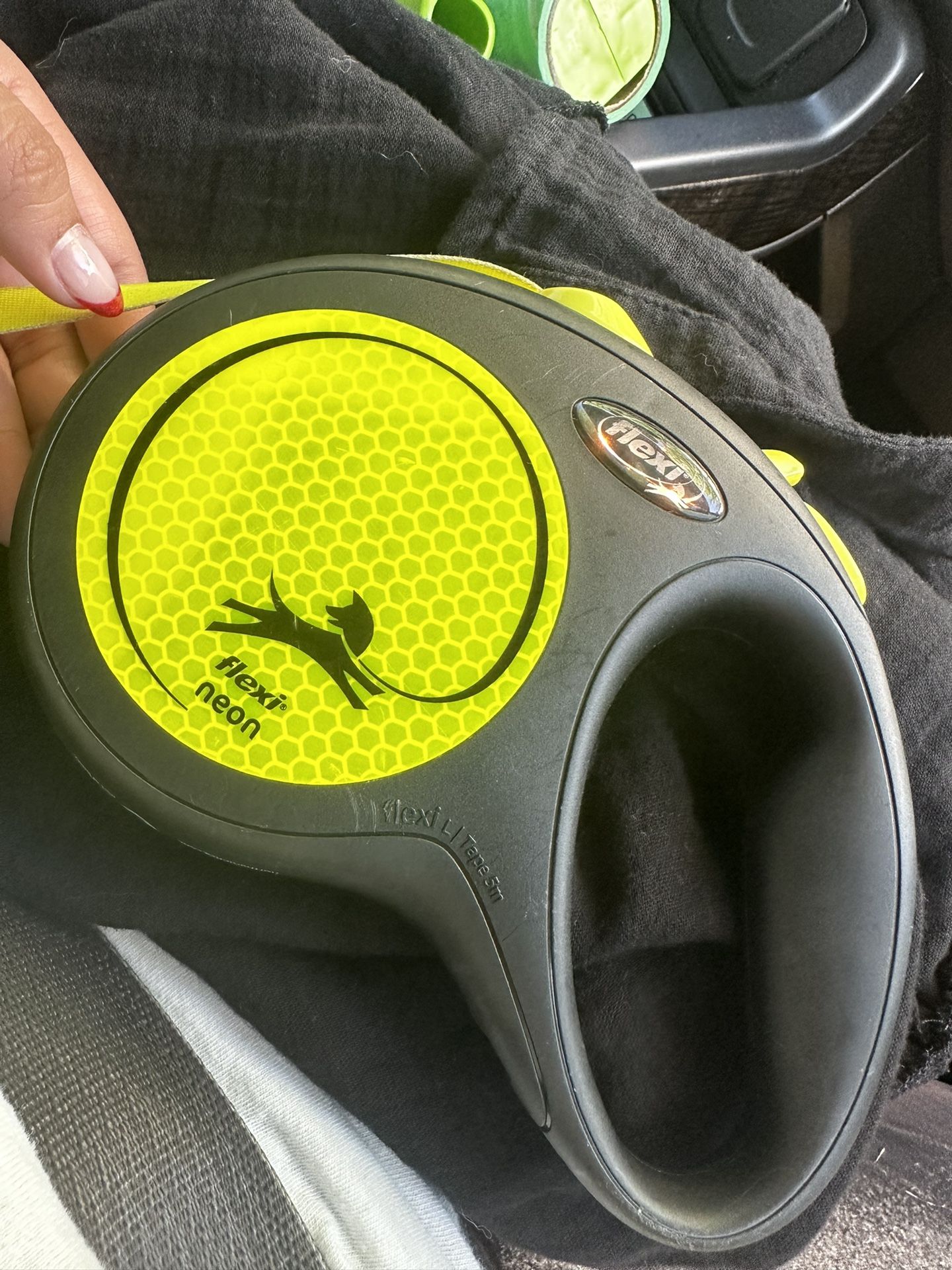 Flexi Leash For Dogs