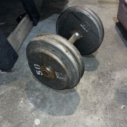 50 lb Pound Dumbbell