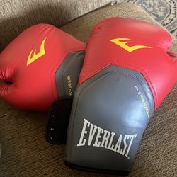 Everlast Boxing Gloves