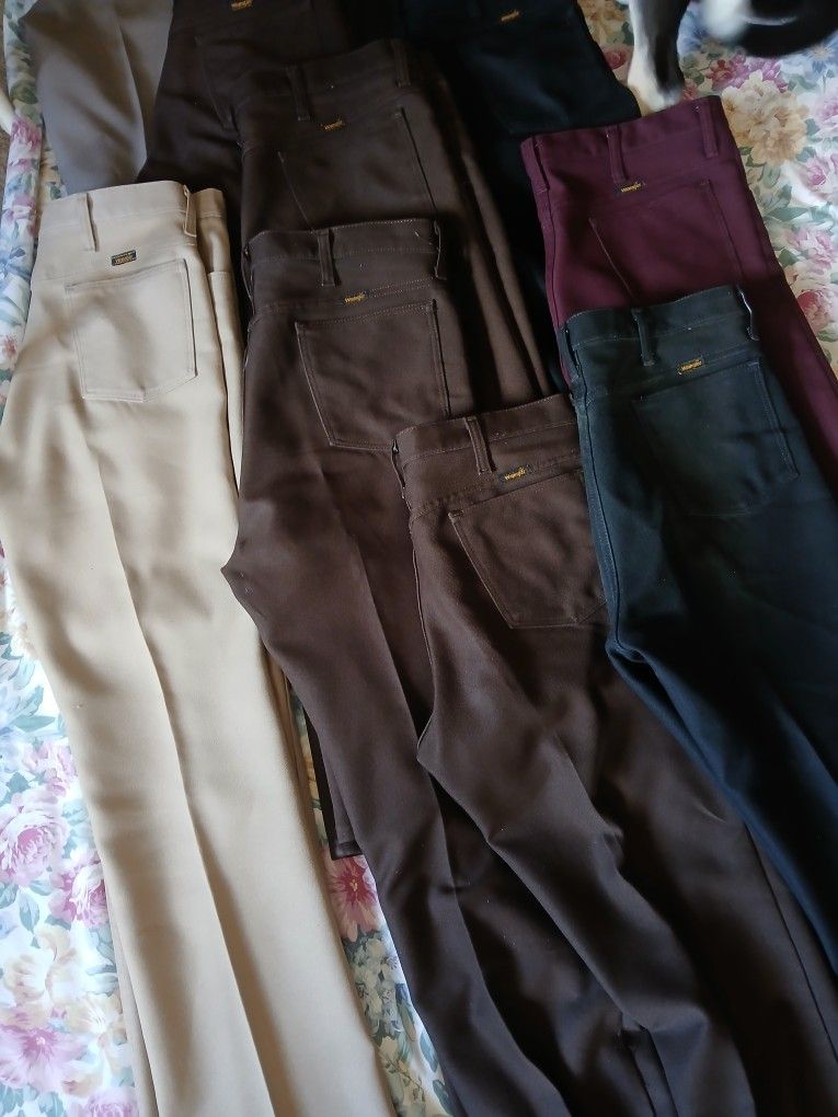 Fancy Wrangler Pants For Sell