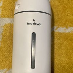 Hey Dewy Portable Facial Hydrating Cool Mist Humidifier (Wired Version)— missing usb cord