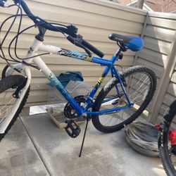 Titan Pioneer Mountain Bike