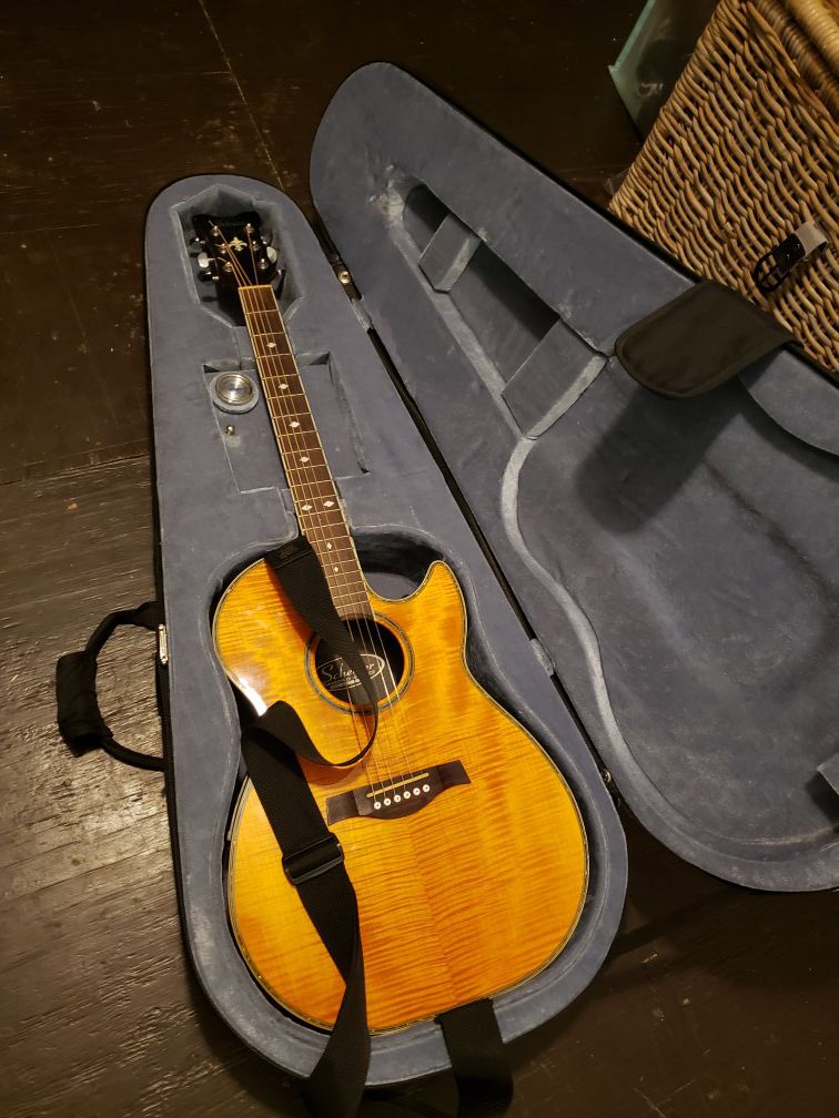 Acoustic guitar case