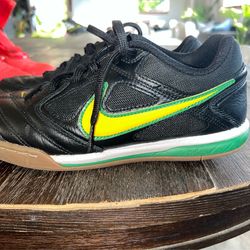 Nike Gato Oregon