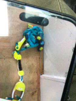 Baby door frame jumper
