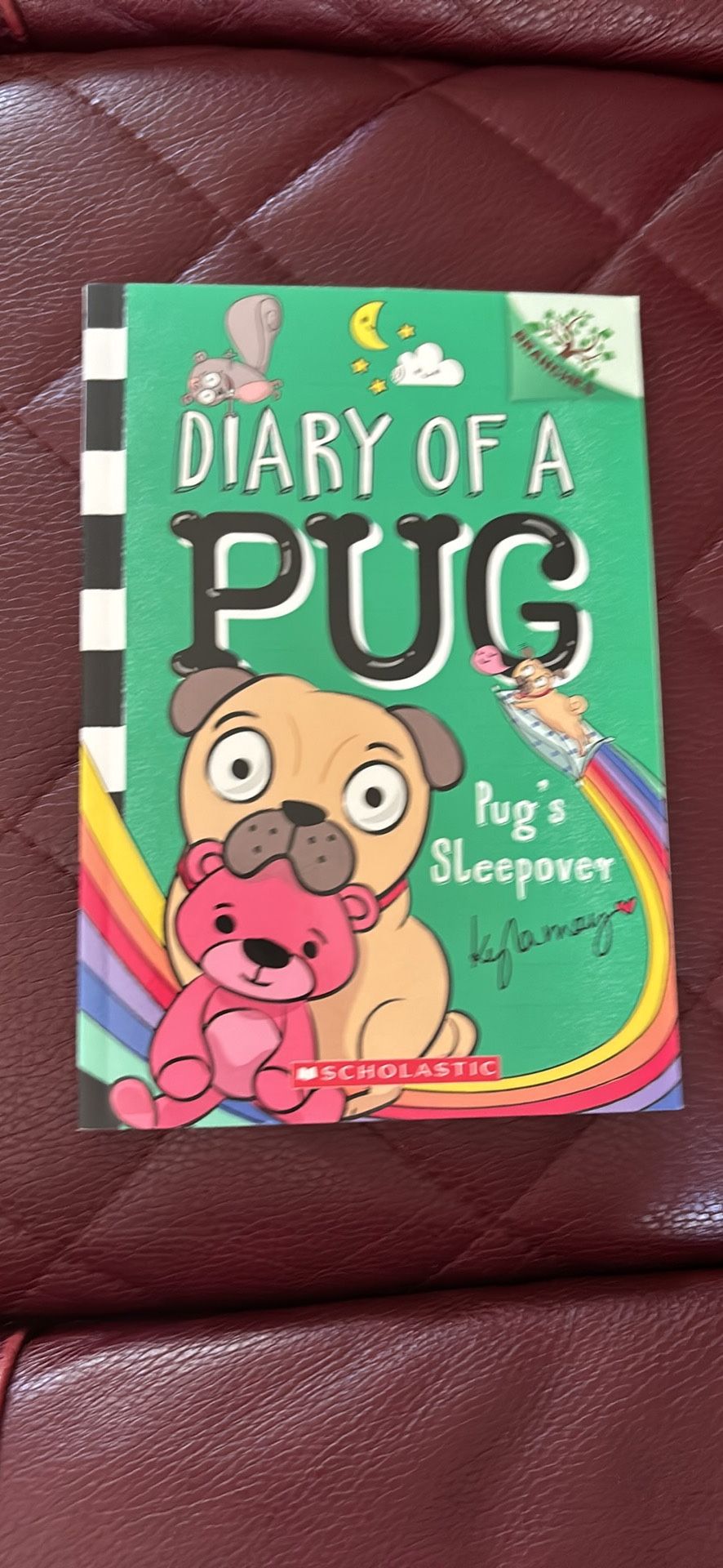 New Diary Of A Pug Book Pugs Sleepover 