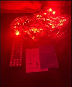 Used permanent Christmas lights you can use remote control or set up on your phone