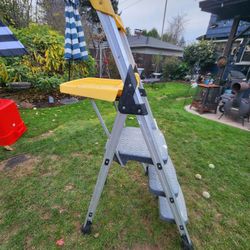 5 foot painters ladder