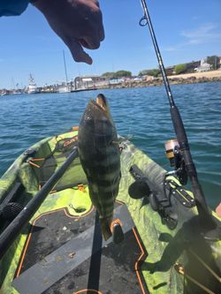 🎣 Pelican Catch 110 Fishing Kayak + Accessories — $850