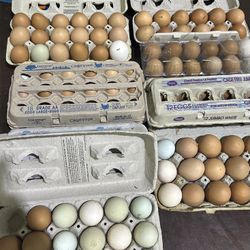Farm Fresh Eggs