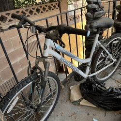 26” Roadmaster Mountain Bike