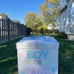 Gender Reveal Balloon Box